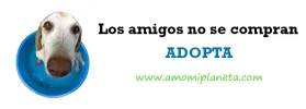 Dibujo.webp