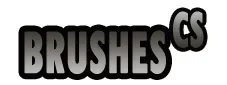 logo brushescs JPG BLANC.webp