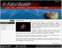 wpdemo2011.webp