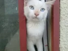 w8OLA.webp