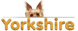 Yorkshire-4.webp