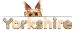 Yorkshire-3.webp