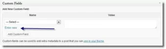 new custom field.webp