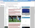 lospumas.net_copyscape_4.webp