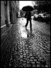 November_Rain_by_Chibss.webp November_Rain_by_Chibss.webp