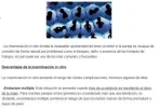 iiv.webp