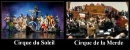 Cirque Du Soleil.webp