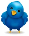 PajaroTwitter_twitter.webp