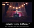 _17.webp