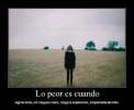 _23.webp