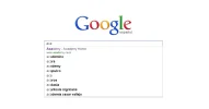adsense4.webp