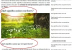 algo-rao-dos.webp