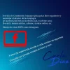 Carla-publicidad.webp