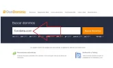 3-Escribe tu dominio.webp