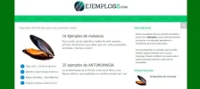 web.webp