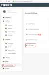Popcash Api Token panel - Landingtrack.webp