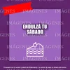 C13.webp