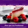 C15.webp