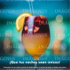 FEED 82 subida.webp