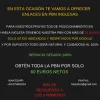 PBN INGLESA (1).webp