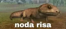 noda-risa.webp