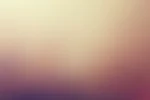333.webp