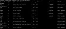 1111.webp