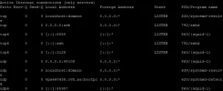 2222.webp