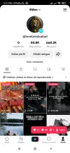 Screenshot_2023-06-28-17-21-46-353_com.zhiliaoapp.musically.webp