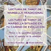 TAROT web @studioaylenlr.webp