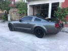 mustang.webp