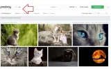 3-Clic en entrar para continuar.webp