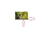 5-Resultados ejemplo practico.webp