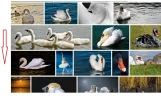 6-Otras imagenes.webp