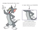 Tom-cat.webp