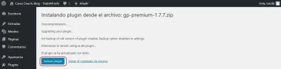 Update Theme and Plugins from Zip File 9.webp
