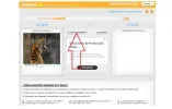 4-Abre la imagen.webp