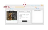 5-Nicel de compresion.webp