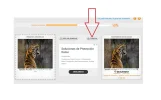 6-Comprimir.webp