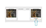 7-Descarga tu imagen.webp