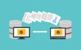 migratewpnewhost.webp
