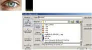 4.webp