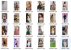 1691162692700.webp