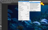 peces-002a.webp