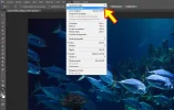 peces-002B.webp