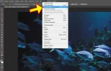 peces-004a.webp