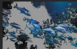 peces-004b.webp