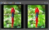 a-pintura-001.webp