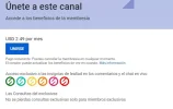 Sin título 2.webp