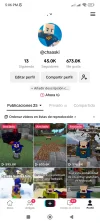 Screenshot_2023-08-11-17-06-01-447_com.zhiliaoapp.musically.webp